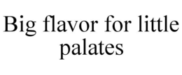BIG FLAVOR FOR LITTLE PALATES trademark