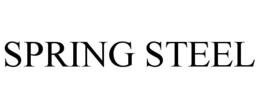 SPRING STEEL trademark