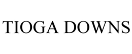 TIOGA DOWNS trademark