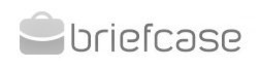BRIEFCASE trademark