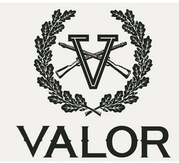 V VALOR trademark