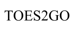 TOES2GO trademark