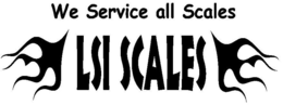 WE SERVICE ALL SCALES LSI SCALES trademark