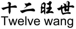 TWELVE WANG trademark