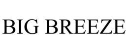 BIG BREEZE trademark