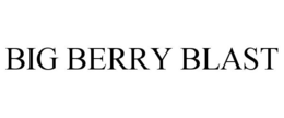 BIG BERRY BLAST trademark