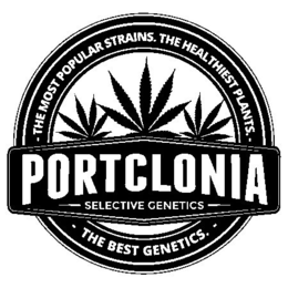 - THE MOST POPULAR STRAINS. THE HEALTHIEST PLANTS. - - THE BEST GENETICS.- PORTCLONIA SELECTIVE GENETICS trademark