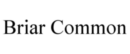 BRIAR COMMON trademark
