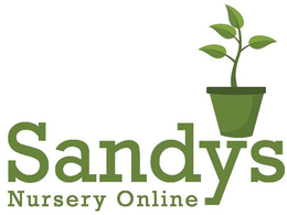 SANDY'S NURSERY ONLINE trademark