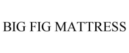 BIG FIG MATTRESS trademark