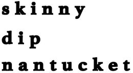 SKINNY DIP NANTUCKET trademark