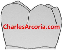 CHARLESARCORIA.COM trademark
