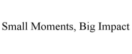 SMALL MOMENTS, BIG IMPACT trademark