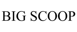 BIG SCOOP trademark