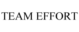 TEAM EFFORT trademark