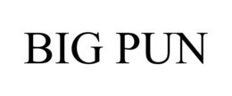 BIG PUN trademark