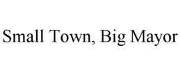 SMALL TOWN, BIG MAYOR trademark
