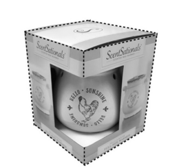 EDISON BY SCENTESSENTIALS SPECTACLE NEW EDISON BULB! trademark