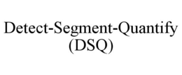 DETECT-SEGMENT-QUANTIFY (DSQ) trademark