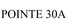 POINTE 30A trademark
