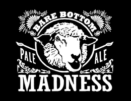 BARE BOTTOM PALE ALE MADNESS trademark