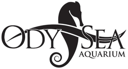 ODYSEA AQUARIUM trademark