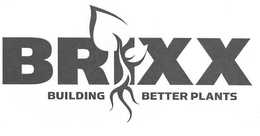 BRIXX BUILDING BETTER PLANTS trademark
