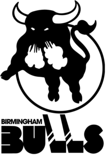 BIRMINGHAM BULLS trademark