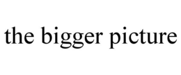 THE BIGGER PICTURE trademark