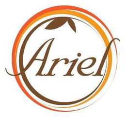 ARIEL trademark