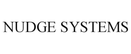 NUDGE SYSTEMS trademark