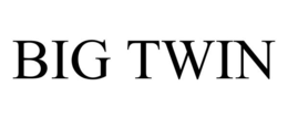 BIG TWIN trademark