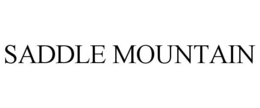 SADDLE MOUNTAIN trademark