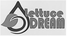 LETTUCE DREAM trademark