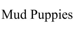 MUD PUPPIES trademark