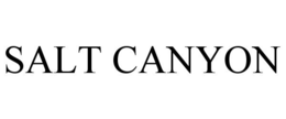 SALT CANYON trademark