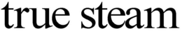 TRUE STEAM trademark