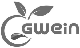 GWEIN trademark