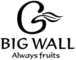 BIG WALL ALWAYS FRUITS trademark