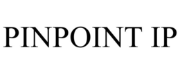 PINPOINT IP trademark