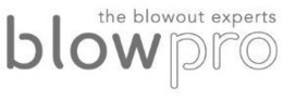 THE BLOWOUT EXPERTS BLOWPRO trademark