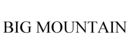 BIG MOUNTAIN trademark
