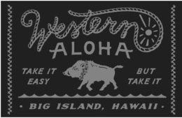 WESTERN ALOHA TAKE IT EASY BUT TAKE IT · BIG ISLAND, HAWAII · trademark