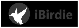 IBIRDIE trademark