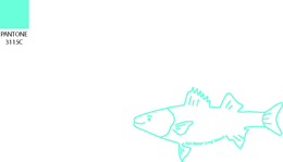 SALTWATER LONG ISLAND trademark