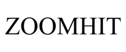 ZOOMHIT trademark