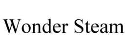 WONDER STEAM trademark