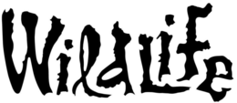 WILDLIFE trademark