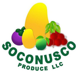 SOCONUSCO PRODUCE LLC trademark