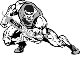 NOVAFLEX trademark